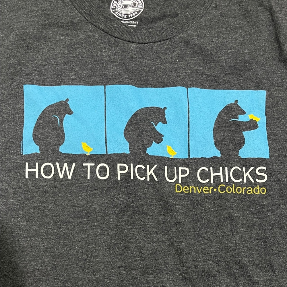 The Mountain Dark Gray T-Shirt with Bear and Chick Graphic